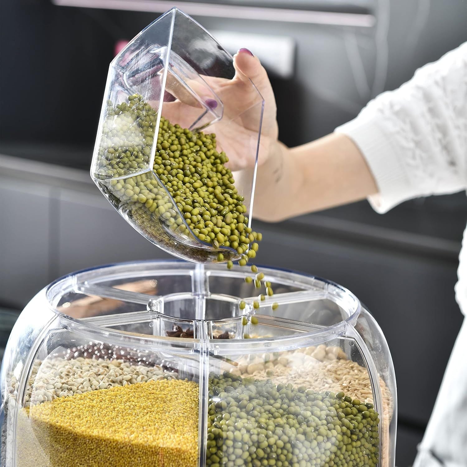 360° Rotating Grain Dispenser with 6 Compartments